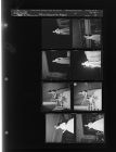 Miss Greenville Pageant (8 Negatives) (March 16, 1961) [Sleeve 41, Folder c, Box 26]